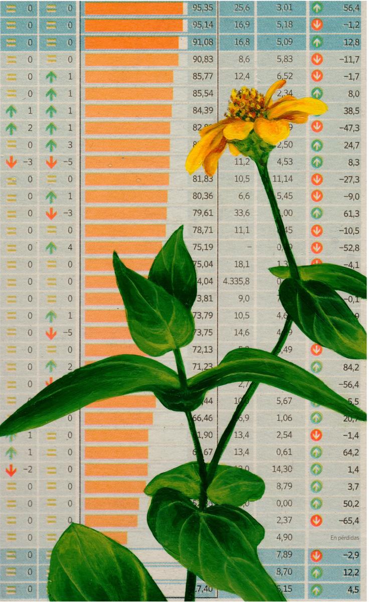 Nature-morte-au-zinia-jaune-huile-sur-papier-journal-maroufle-sur-carton-17-x-28-cm-2023
